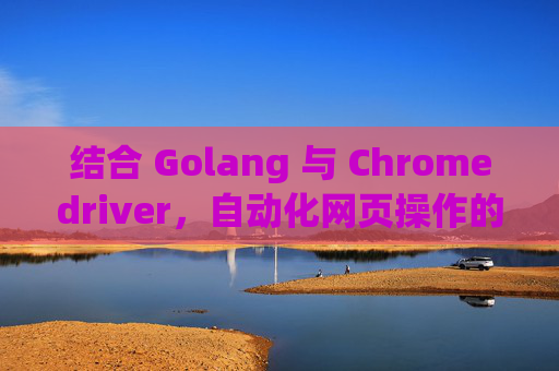 结合 Golang 与 Chromedriver，自动化网页操作的新境界